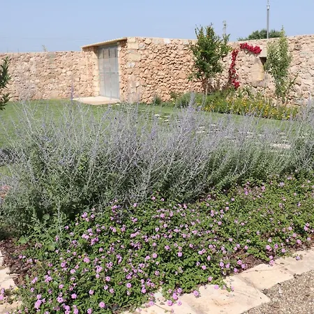 Masseria Santu Lasi Surbo
